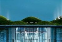 NightLife - California Academy of Sciences